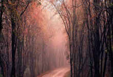 FIBA三人篮球亚洲杯正赛开打 我国女队两战皆负止步小组赛.