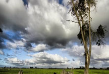 九游:媒体人:就场面而言输一个算运气不错了,感谢王大雷.